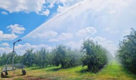 irrigation system