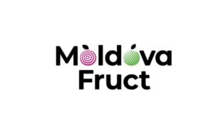 «Молдова Фрукт» «Молдова Фрукт»