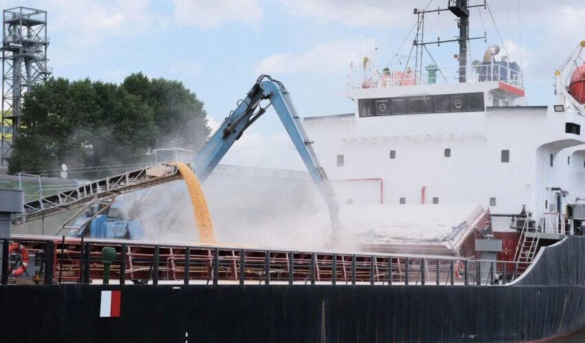 loading grain onto a grain truck