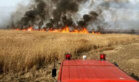 a field fire a field fire
