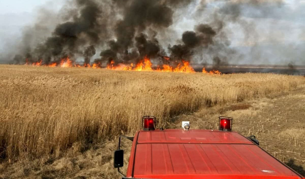 “Yellow Code” fire danger warning extended by one week
