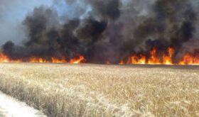 incendiu pe câmp