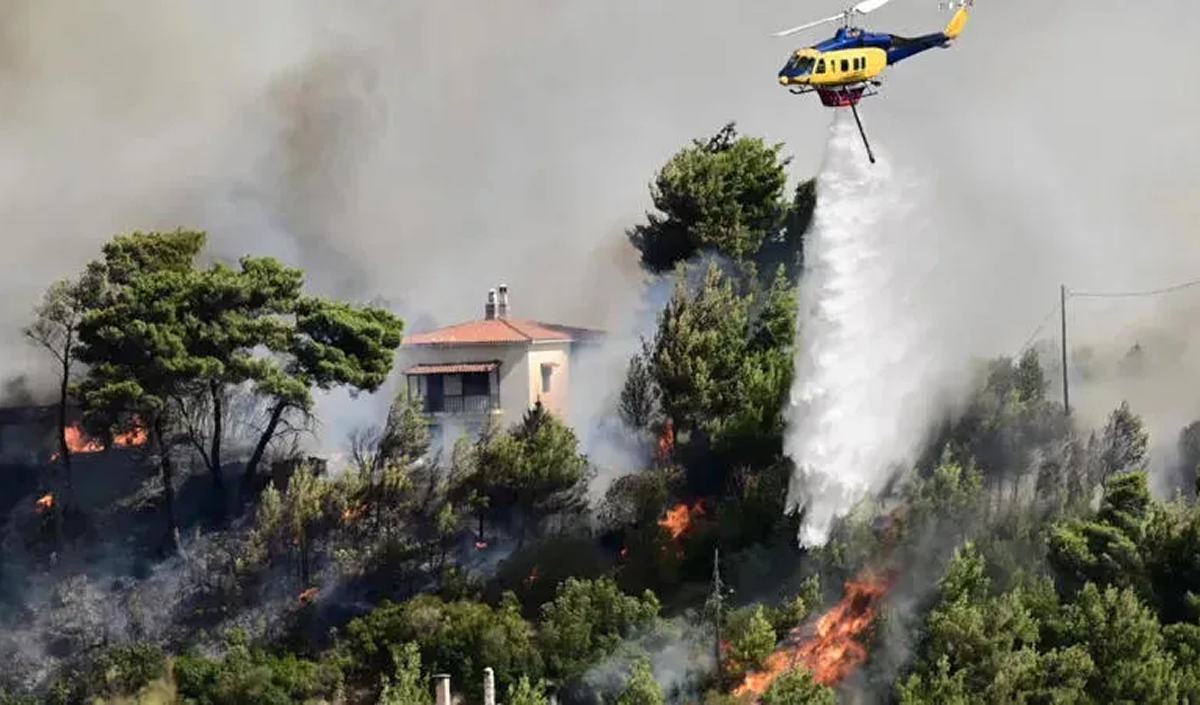 WHO: The number of wildfires in Europe has increased by 57% over the past four years