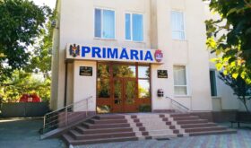 primărie