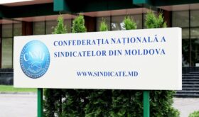 sindicate