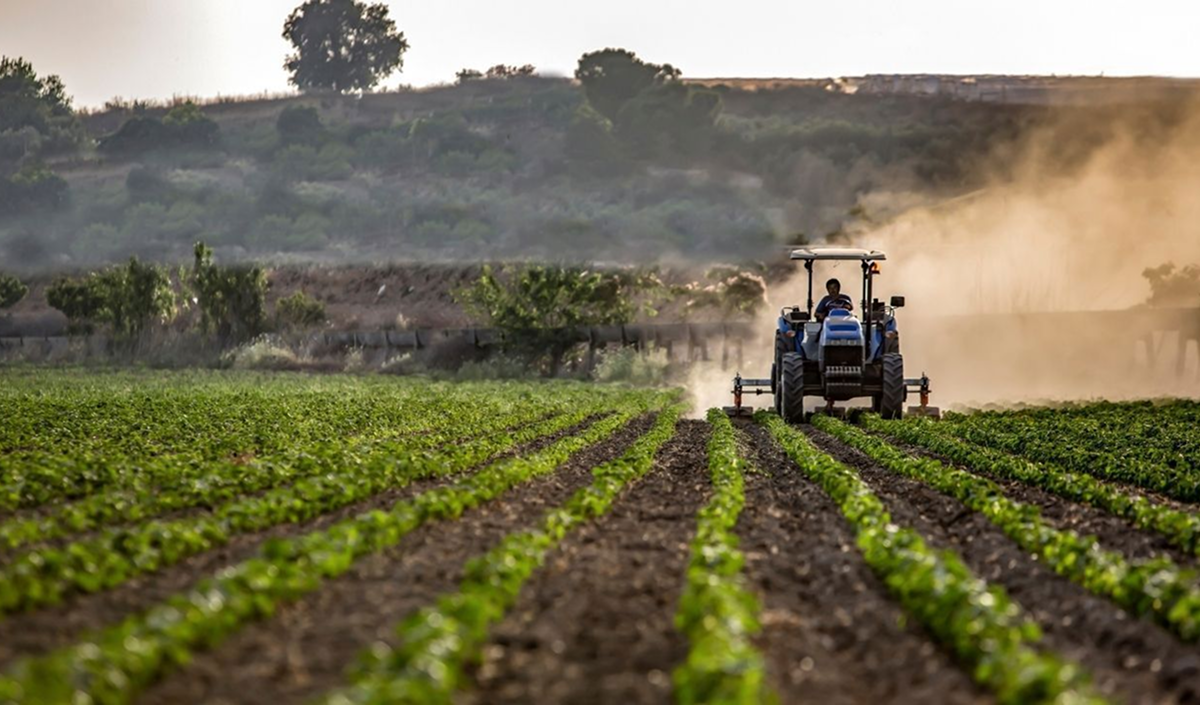 Statisticile agricole vor deveni fiabile