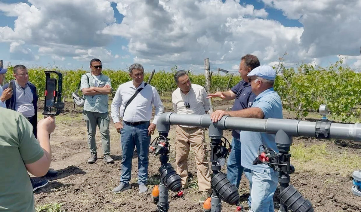 irrigation system