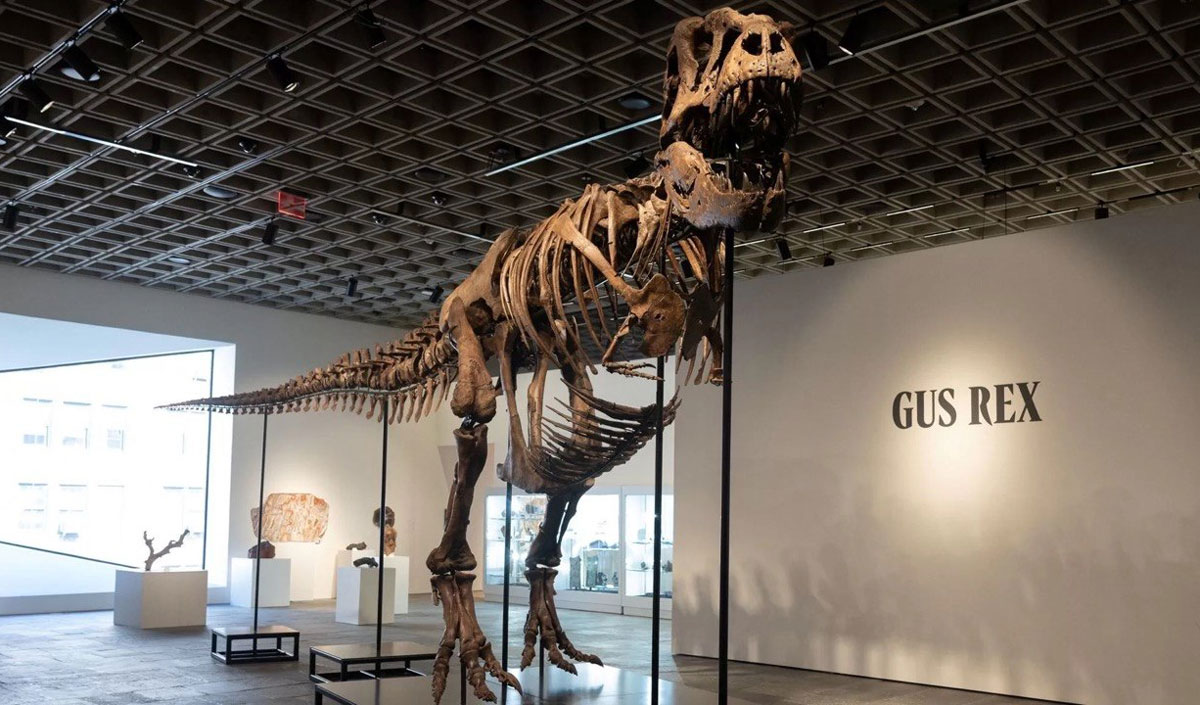 Bloomberg: de ce miliardarii cumpără schelete de dinozauri
