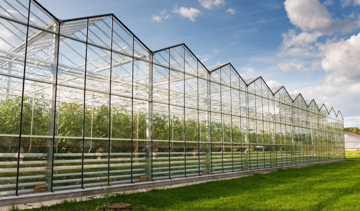 Moldovan farmers received nearly 54 million lei in subsidies in June
