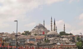 Turkey Turkey