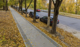 strada Florilor