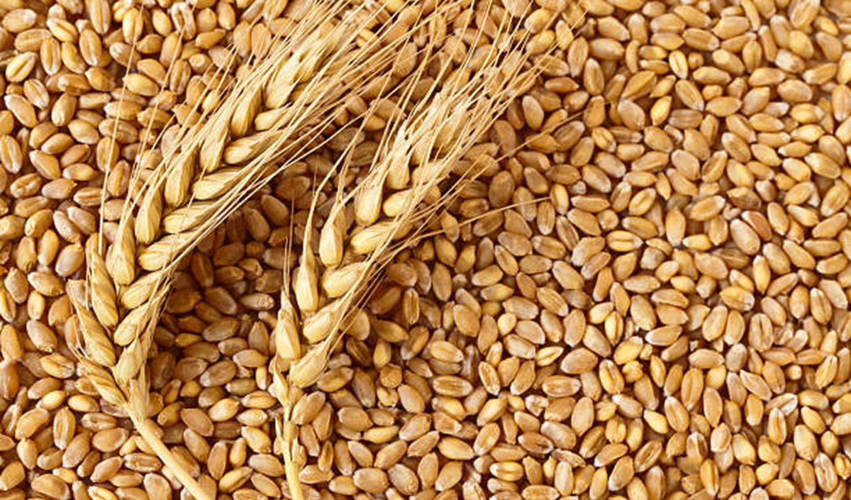 The blockade of the Sea of Azov has driven up wheat prices in Romania. What about Moldova?