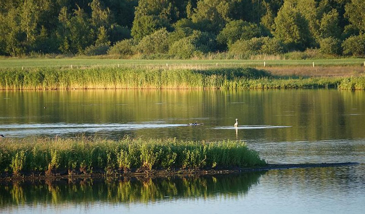 Biodiversitatea a fost „pusă în mișcare” cu bani