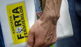 Forta Fermierilor Forta Fermierilor