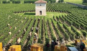 Italian farm Italian farm