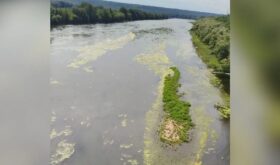 the shallow Dniester