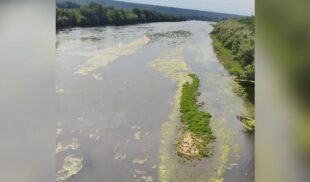 Dniestrul care se revarsă Dniestrul care se revarsă