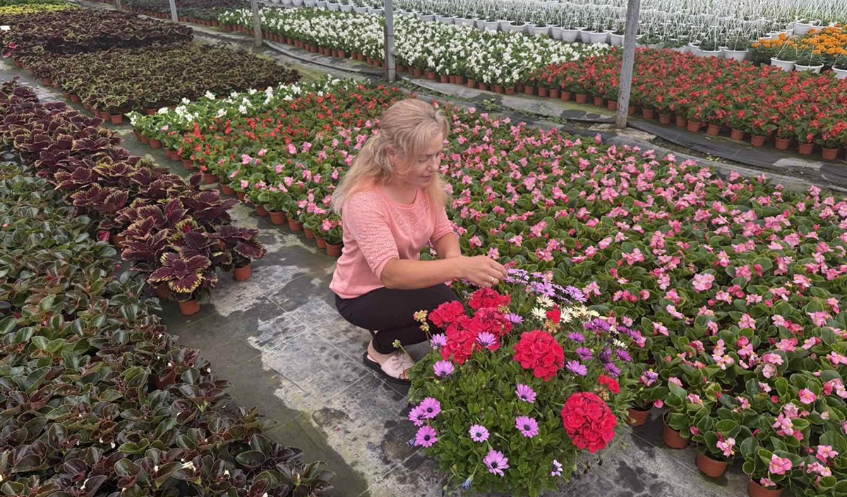 Tinerii fermieri reprezintă cea mai numeroasă categorie de beneficiari ai proiectelor IFAD din Moldova