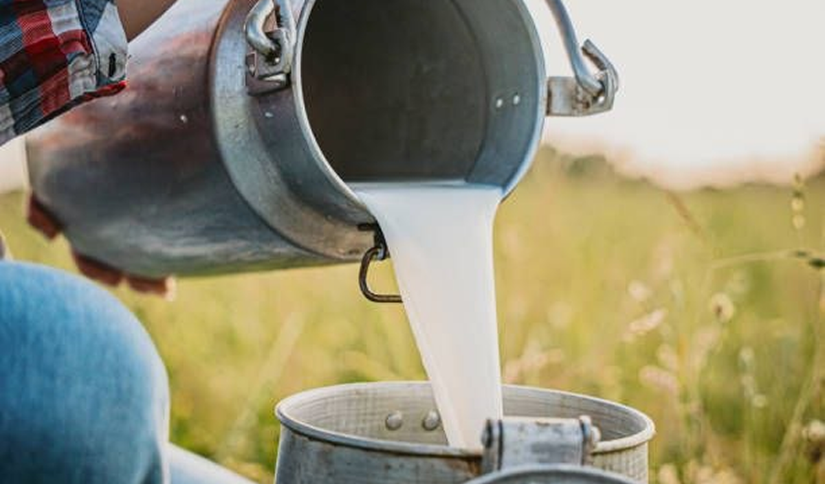 AIPA Agency: Applications for “dairy subsidies” totaling 105 million lei have been collected