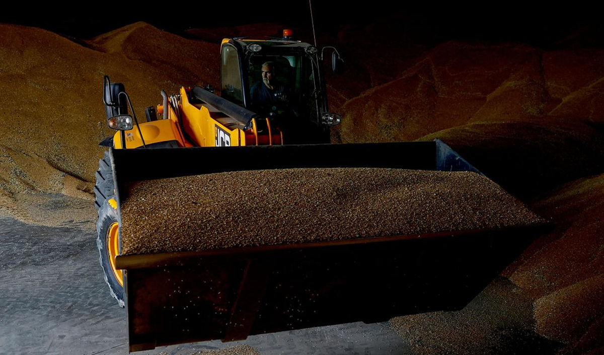 Bloomberg: Attacks on Ports Have Jeopardized Ukraine’s Grain Exports