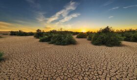 Drought Drought
