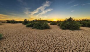 Drought