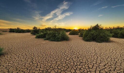 Drought