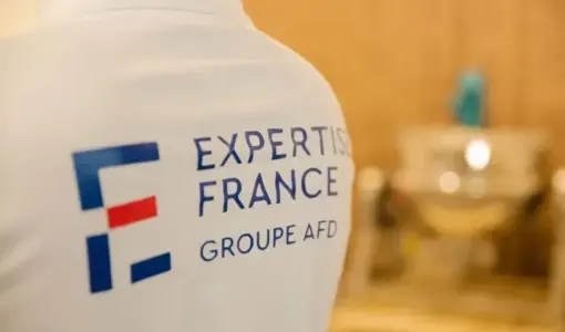 Expertise France