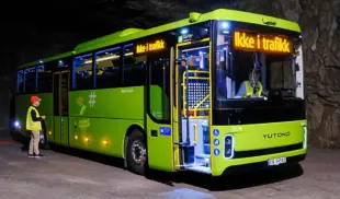 buses