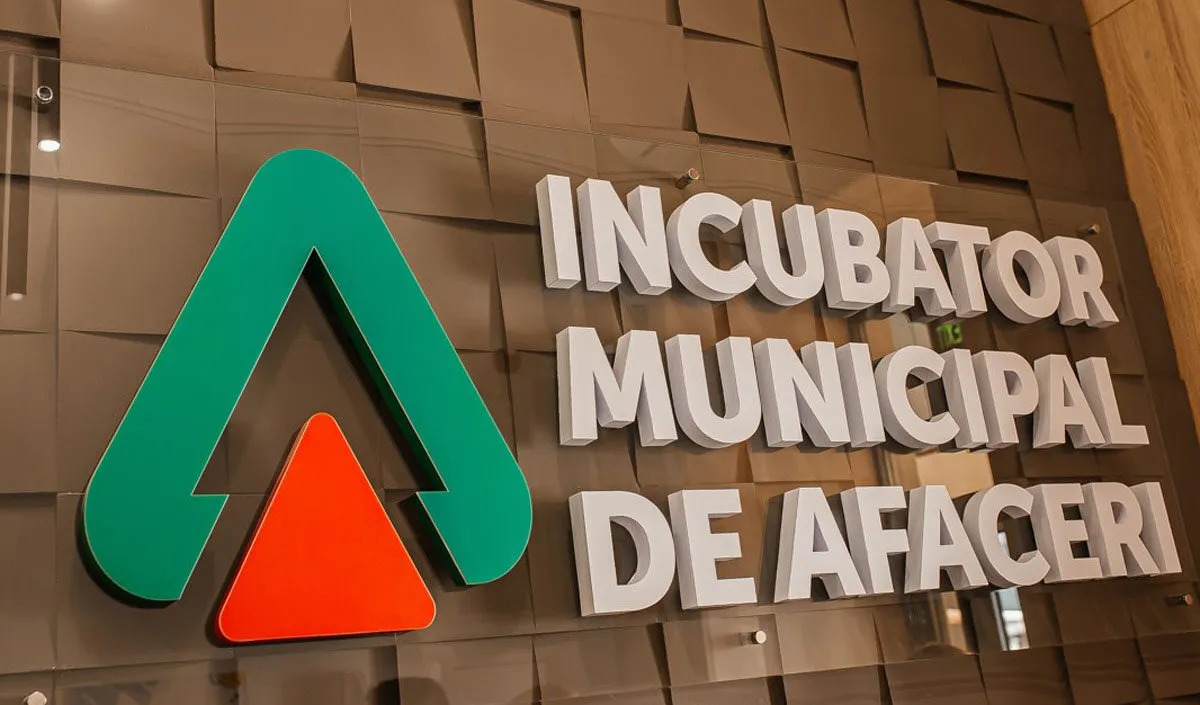incubator de afaceri