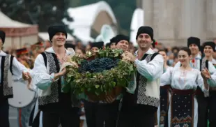 День Вина День Вина