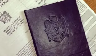 diploma diploma
