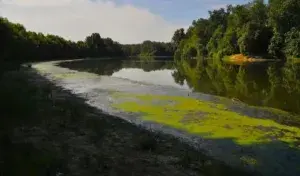 Dniester