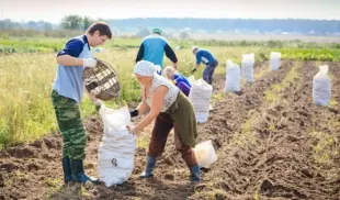farmers