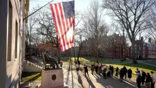 Universitatea Harvard Universitatea Harvard