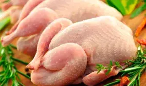 chicken