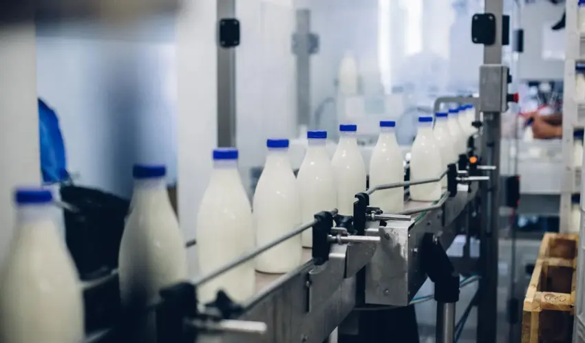 Milk