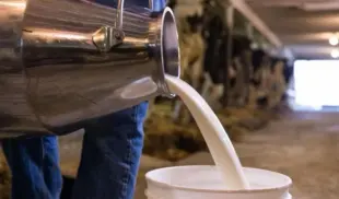 milk milk