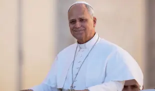 Papa Leon al XIV-lea PapaLeon al XIV-lea