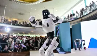 humanoid robot humanoid robot