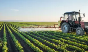 agricultură agricultură