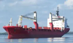 a bulk carrier in the roadstead