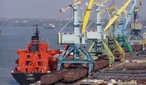 În Reni se vinde un terminal cerealier