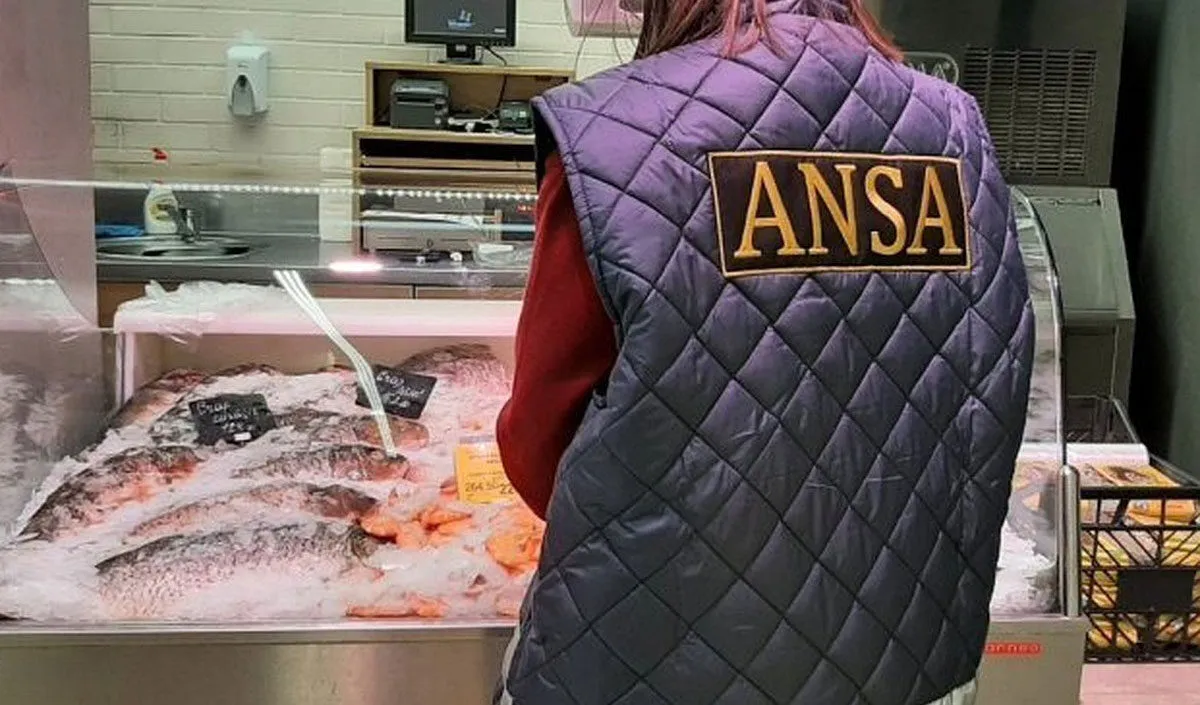ANSA