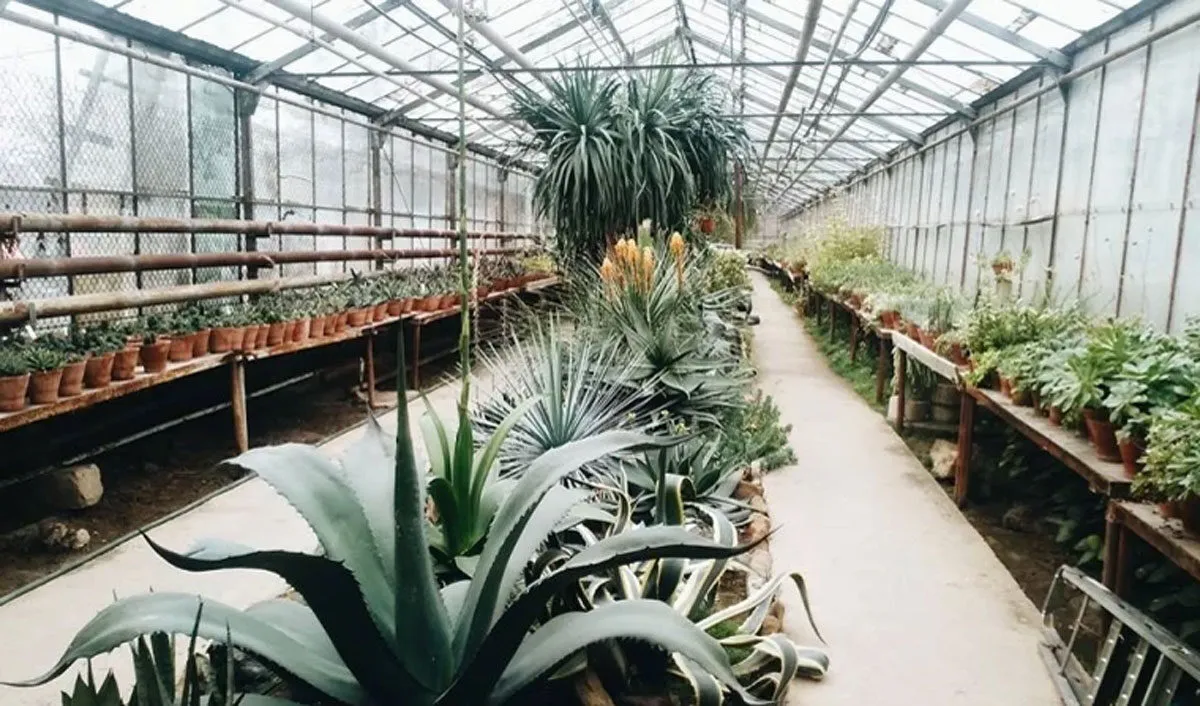 grădina botanică grădina botanică