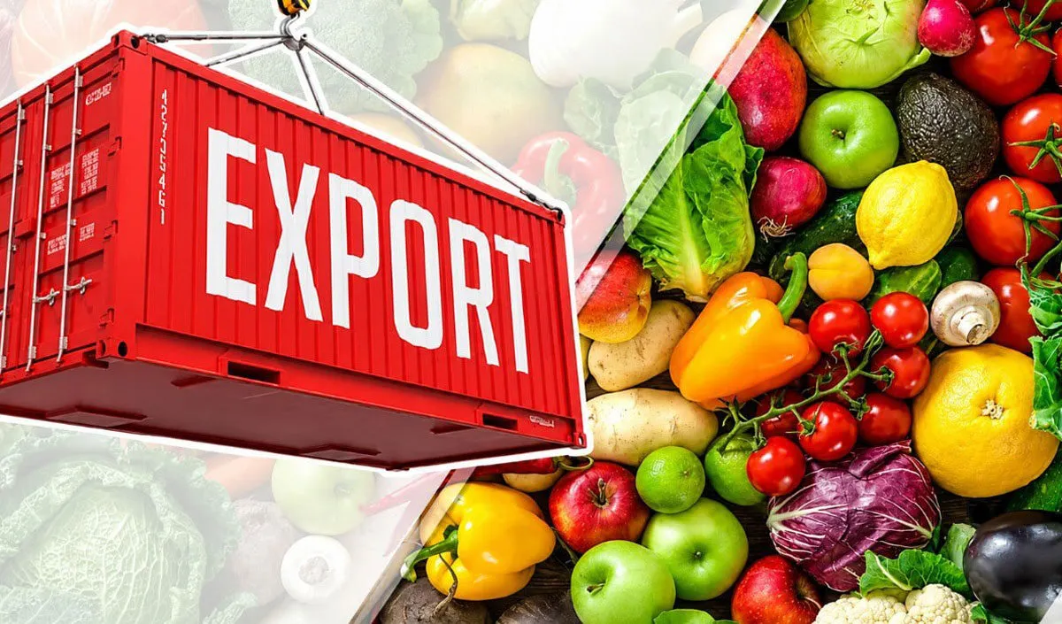 export