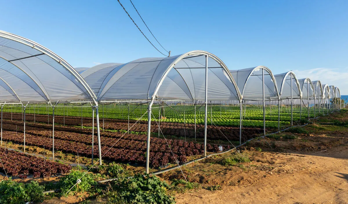 farm greenhouses farm greenhouses