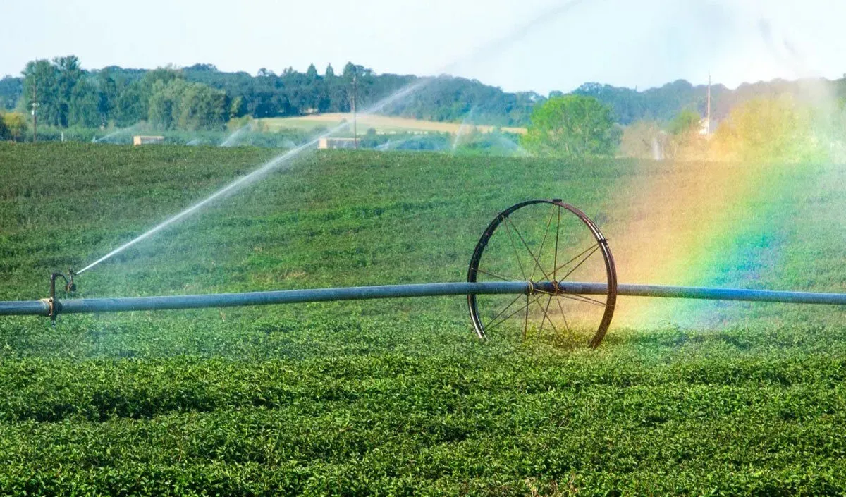 irrigation irrigation