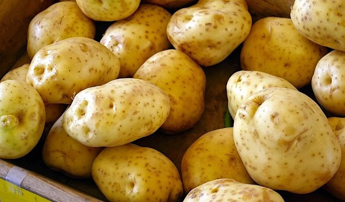potato