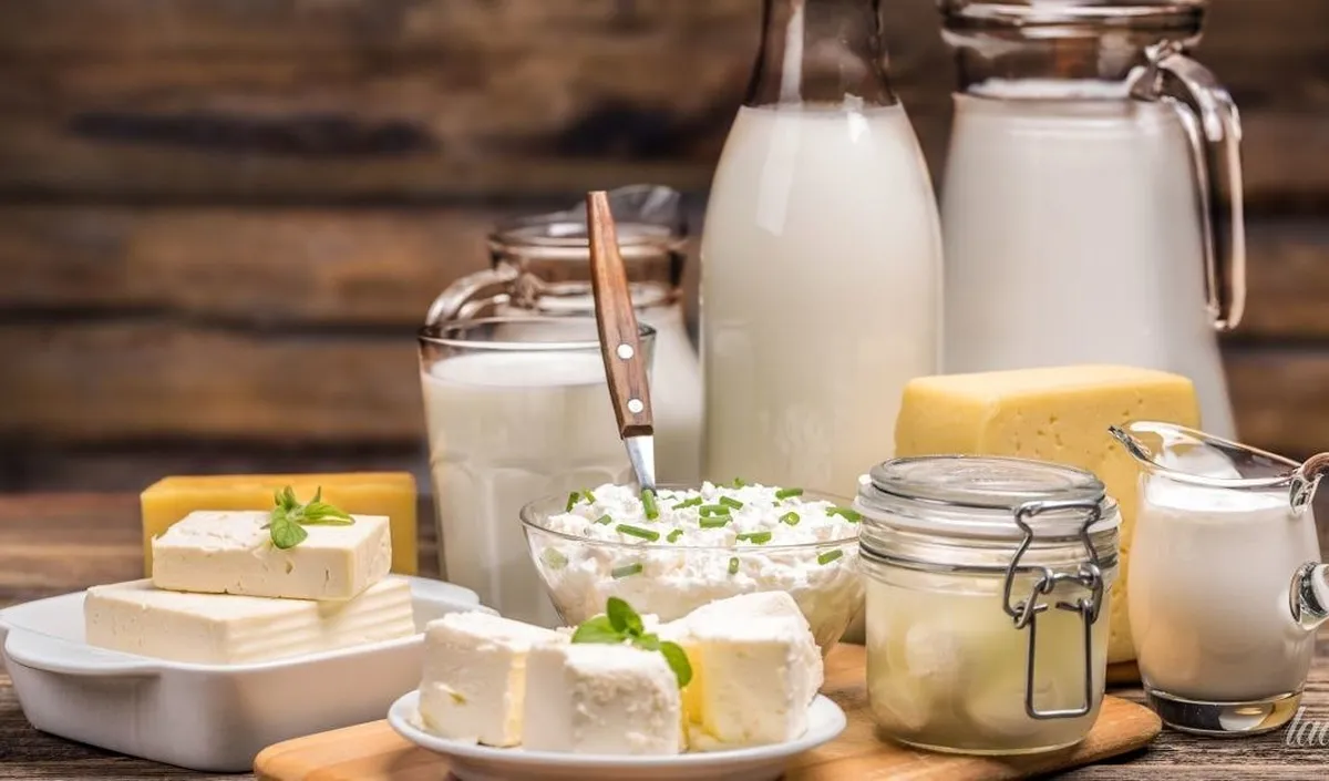 dairy products
